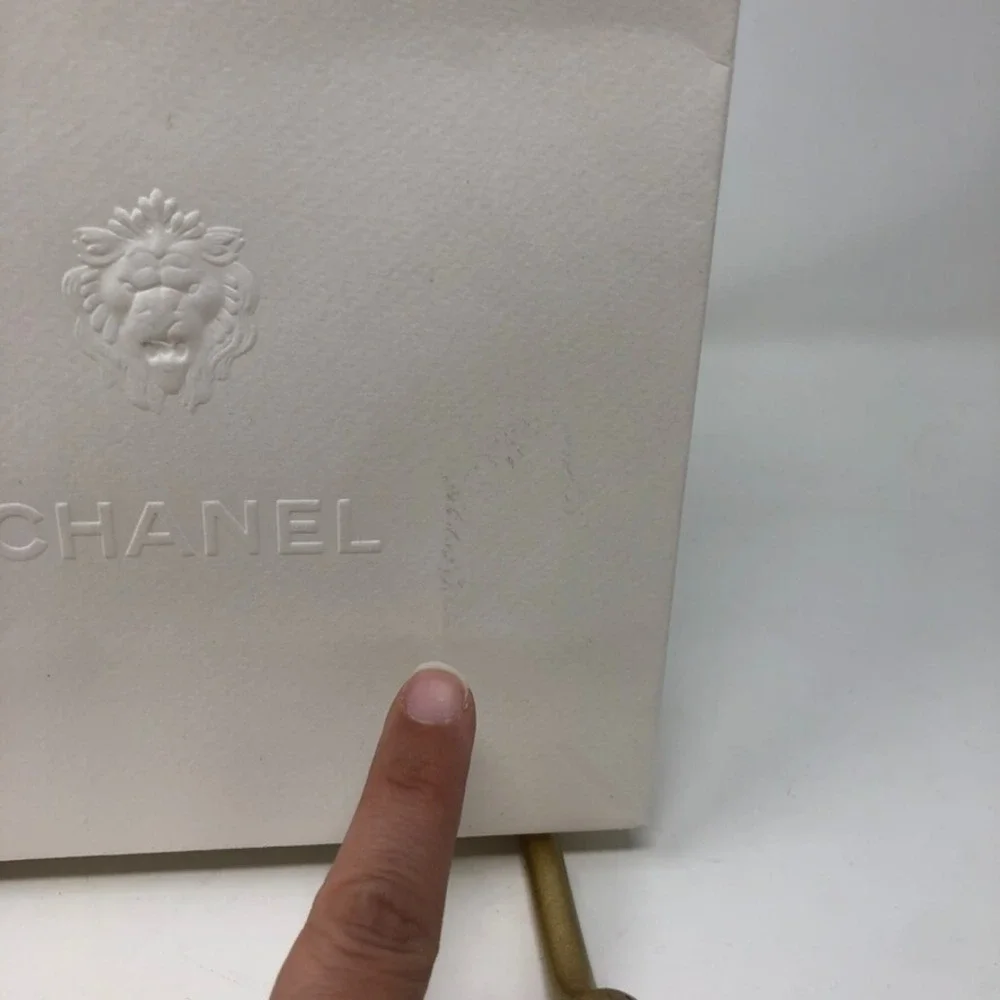 Authentic Chanel Gift Bag Shopping Small White Ribbon Flower Travel Storage